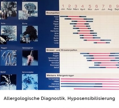 Allergologische Diagnostik, Hyposensibilisierung