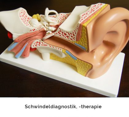 Schwindeldiagnostik, -therapie